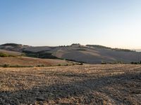 dirt road leading away from the camera, in a field near a farm area with hills