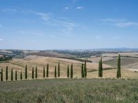 Dirt Road in Tuscany: Clear Skies and Open Space