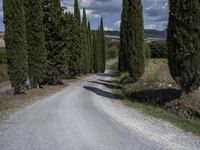 the road is lined with tall trees and graveled lanes on either side of it