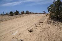 the dirt road is empty but there is no cars on it in the desert on a sunny day