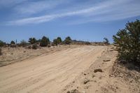 the dirt road is empty but there is no cars on it in the desert on a sunny day