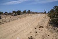 the dirt road is empty but there is no cars on it in the desert on a sunny day