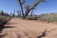 this is an image of a dirt road in the desert during the day with clouds