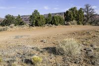 Dirt Road in Utah's Nature: A Beautiful Day for Exploration