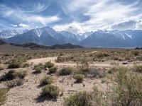 Dirt Roads of California's Alabama Hills
