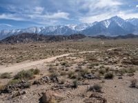 Exploring Dirt Roads in California's Desert Landscape