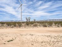Dirt Roads of Mojave Desert, California