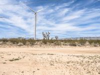 Dirt Roads of Mojave Desert, California
