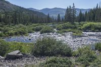 Dirt Track Through Colorado's Natural Landscape