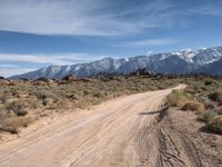 Dirt Tracks of Alabama Hills, California