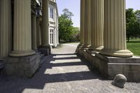 a dog is looking up some tall pillars outside of a building with stone steps and stairs on either side