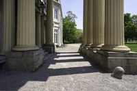 a dog is looking up some tall pillars outside of a building with stone steps and stairs on either side