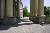 a dog is looking up some tall pillars outside of a building with stone steps and stairs on either side