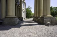 a dog is looking up some tall pillars outside of a building with stone steps and stairs on either side