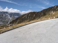 a dog standing in the road near a large mountainous area of land below the mountains