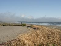 a dog walking on the beach near the water and some grass in the grass of the area