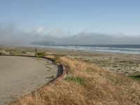 a dog walking on the beach near the water and some grass in the grass of the area