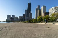 Downtown Chicago's Waterfront Cityscape