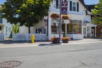 the intersection of an empty residential neighborhood with some nice flowers in pots and flowers outside the window