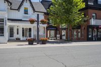 the intersection of an empty residential neighborhood with some nice flowers in pots and flowers outside the window
