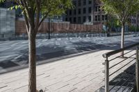 Downtown Denver: Urban Design and Open Spaces