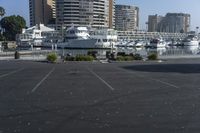 Downtown Los Angeles, California: A Coastal Cityscape