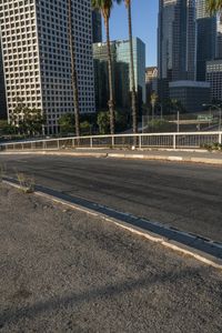 Downtown Los Angeles, California Daytime