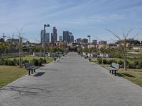 Downtown Los Angeles California Skyline 001