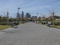 Downtown Los Angeles California Skyline 002