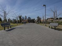 Downtown Los Angeles California Skyline 006