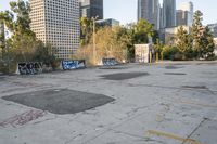 this empty lot is very dirty and not clear from any graffiti on the ground and the trees that are very tall are tall