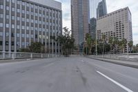 an empty city street with a few buildings and palm trees along it's side