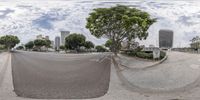 a reflection in a fish eye lens on the ground of a parking lot with trees and buildings