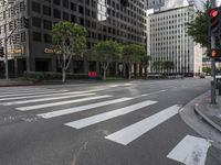 street view in downtown with large buildings, traffic light and trees across from sidewalk at intersection