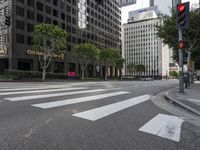 street view in downtown with large buildings, traffic light and trees across from sidewalk at intersection