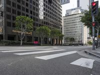 street view in downtown with large buildings, traffic light and trees across from sidewalk at intersection