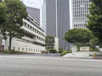 Downtown Los Angeles: Urban Skyscrapers and Modern Architecture