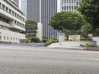 Downtown Los Angeles: Urban Skyscrapers and Modern Architecture