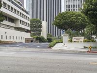 Downtown Los Angeles: Urban Skyscrapers and Modern Architecture