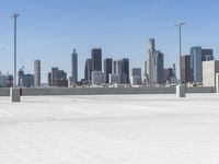 Exploring the Downtown Metropolis: Cityscape and Skyscrapers