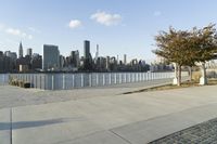 the view of manhattan skyline from the waterfront walkway of a park with a tree next to a sidewalk that is empty