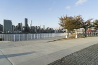 the view of manhattan skyline from the waterfront walkway of a park with a tree next to a sidewalk that is empty