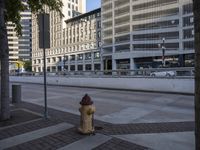 there is a fire hydrant next to the road with tall buildings in the background