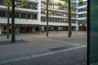 an empty area in a downtown area with buildings on either side and two trees on each of them