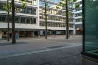 an empty area in a downtown area with buildings on either side and two trees on each of them