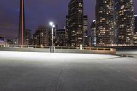 a paved walkway with light posts in the middle of the road and several tall buildings