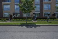 a man walking down the street past buildings with windows on them and green plants in front