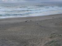 people are on a beach looking out into the ocean or the ocean from the sand