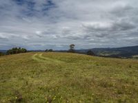 an open field with trees, clouds and grassy terrain on a sunny day in the mountains