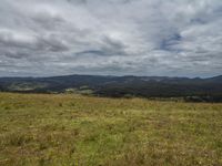 the mountain range is full of tall grass and wildflowers with the sky and clouds overhead